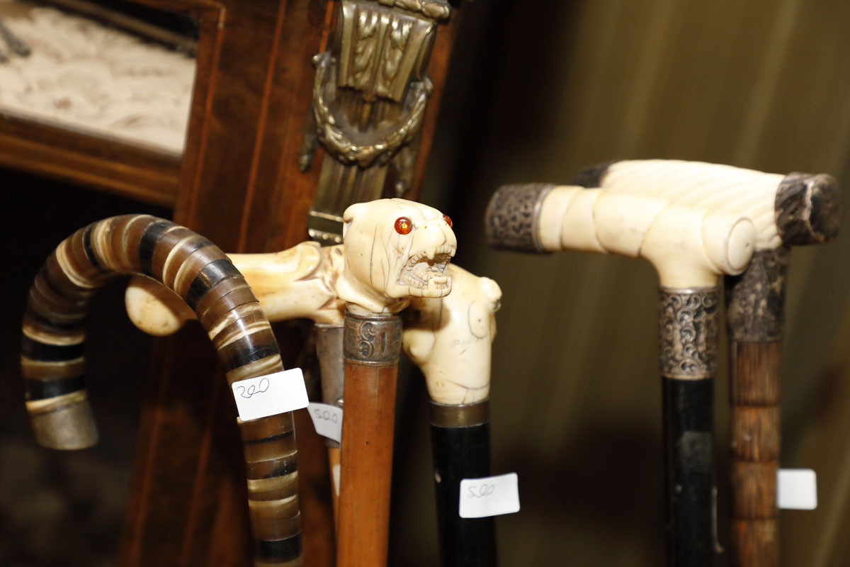 Cane collection, 19th century - Furniture accessories Cane collection, 19th century - Furniture accessories