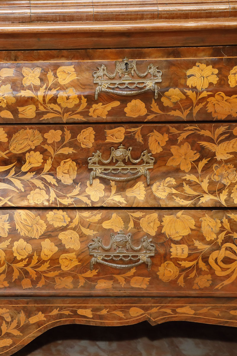 Glass unit with drawers in walnut brier-root, 19th century - Glass units Glass unit with drawers in walnut brier-root, 19th century - Glass units