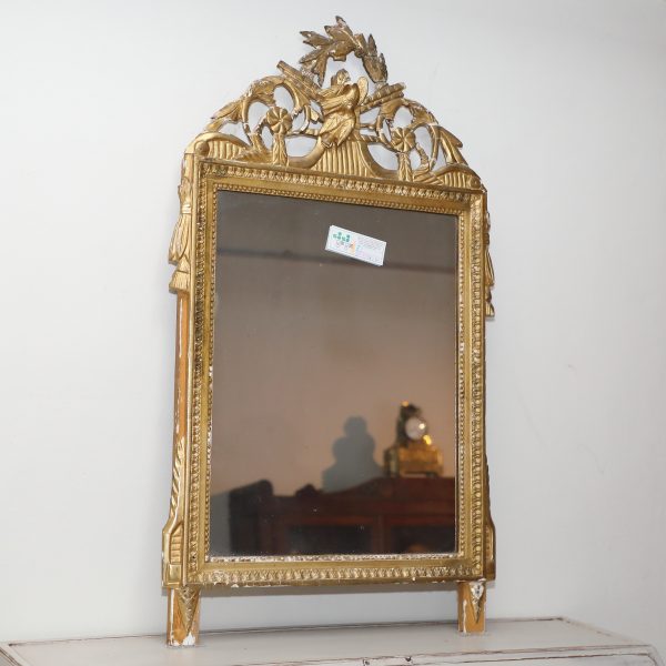 Specchiera Luigi XVI in legno dorato con cimasa con uccelli e corona d'alloro - Specchiere