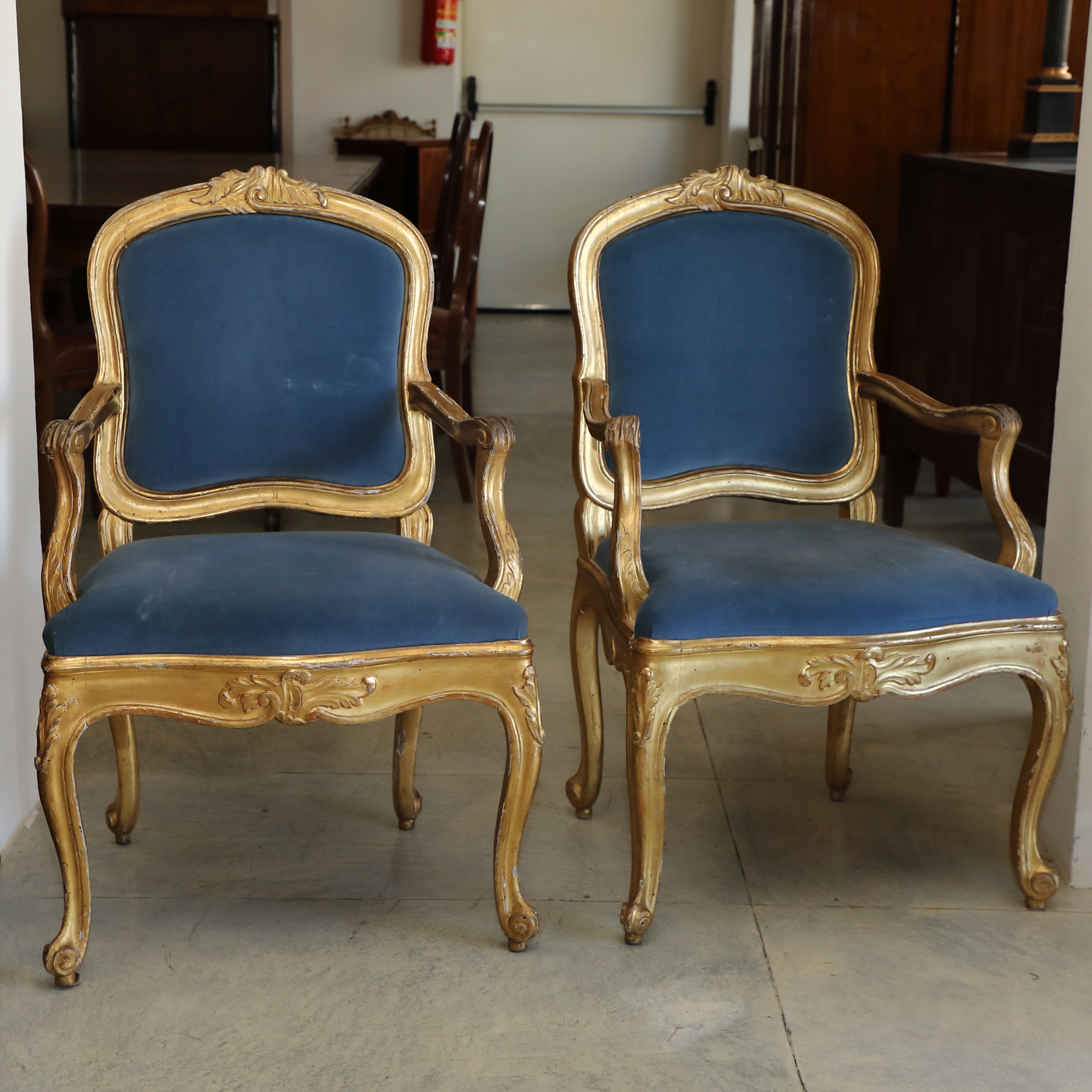 Salotto composto da divano e due poltrone in radica di tuja epoca 800 - Divani, Sedie e Poltrone Salotto composto da divano e due poltrone in radica di tuja epoca 800 - Divani, Sedie e Poltrone